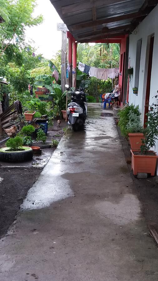 Bed and Breakfast Mi Ranchito Санта-Крус Экстерьер фото