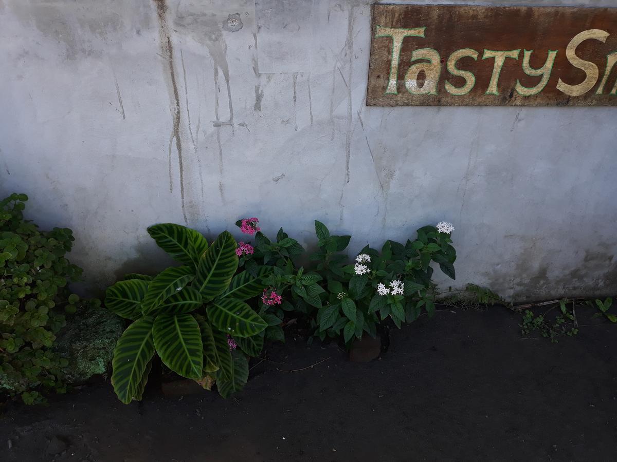 Bed and Breakfast Mi Ranchito Санта-Крус Экстерьер фото