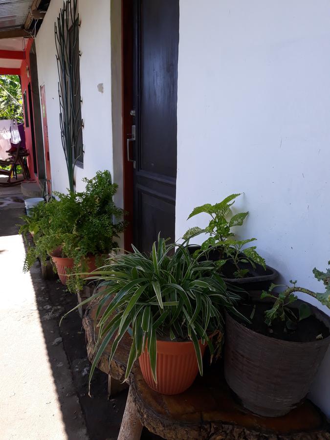 Bed and Breakfast Mi Ranchito Санта-Крус Экстерьер фото